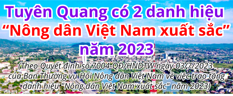 Ảnh tin