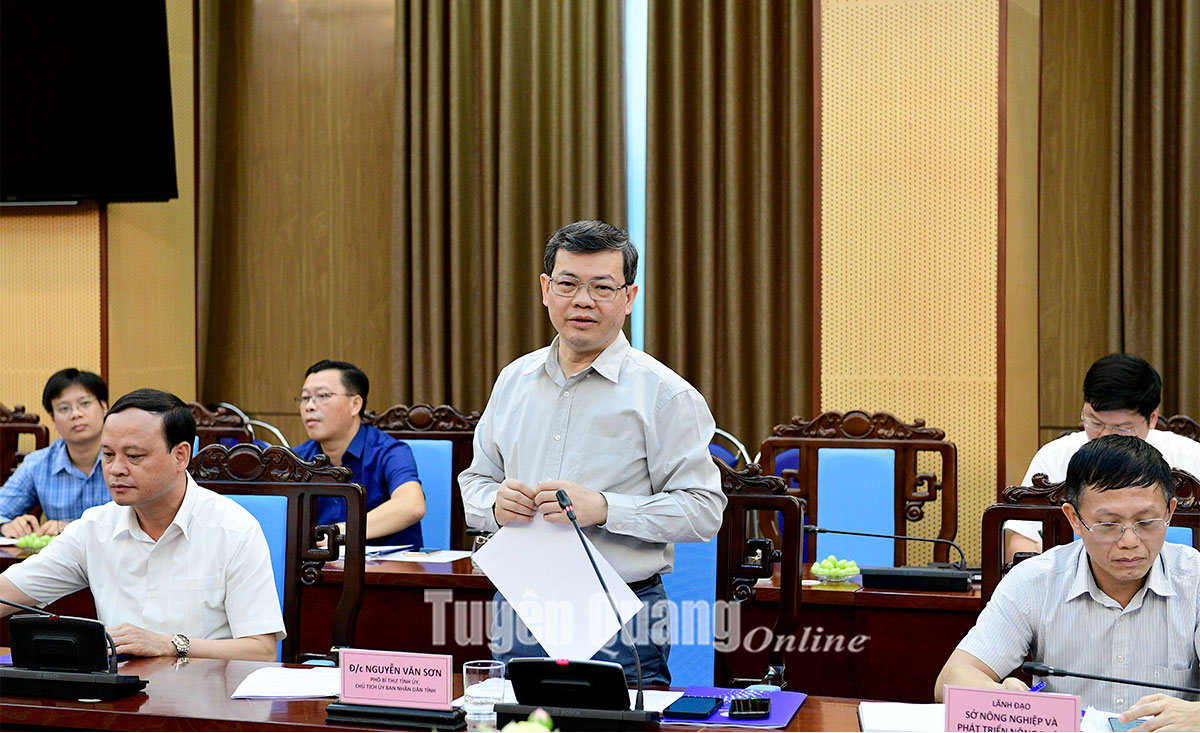 Ảnh tin