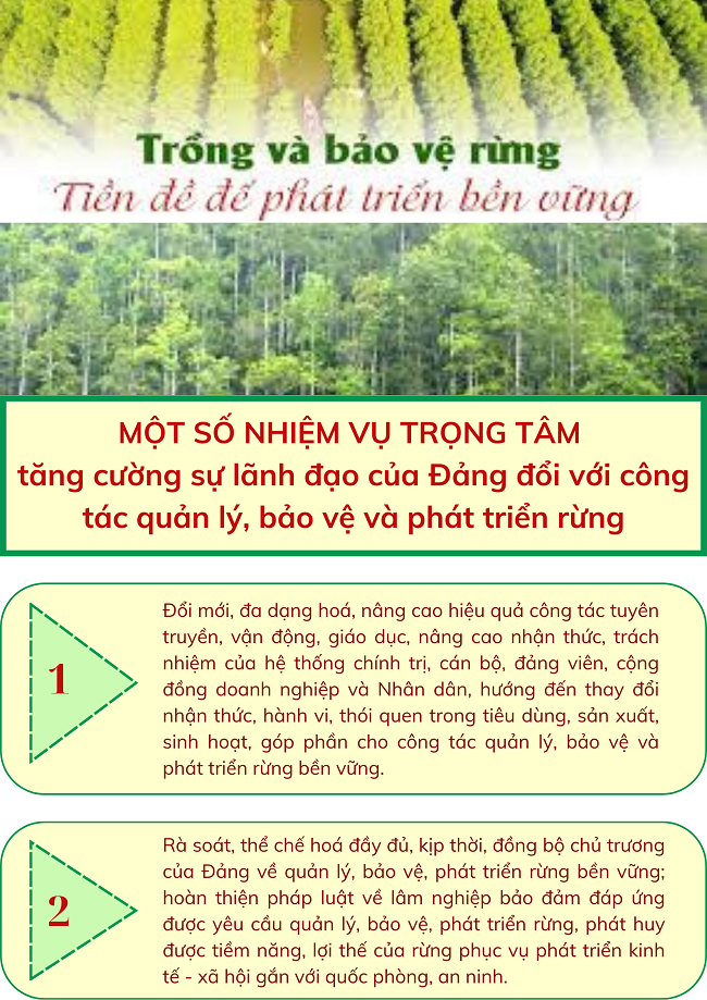 Ảnh tin
