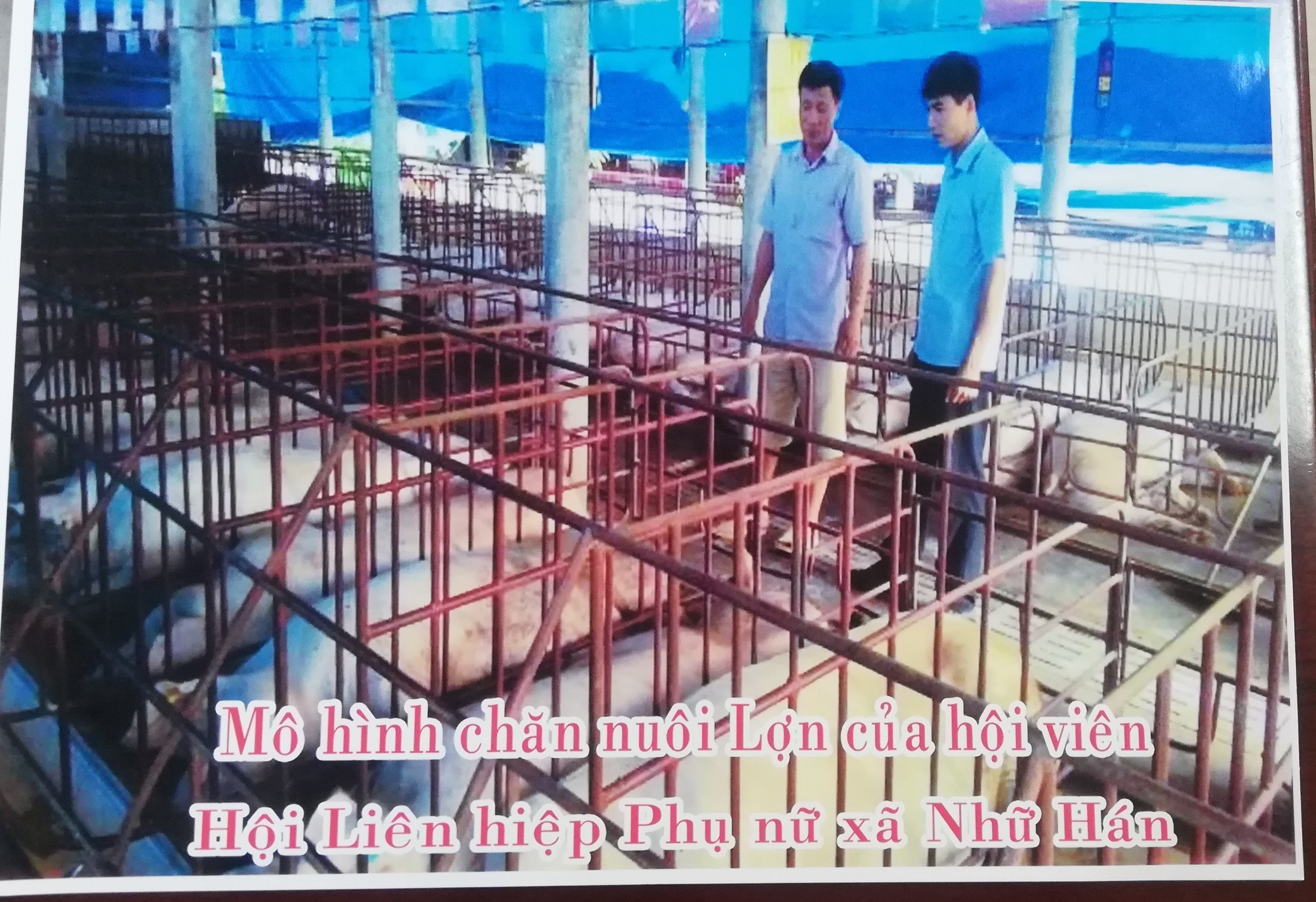 Ảnh tin