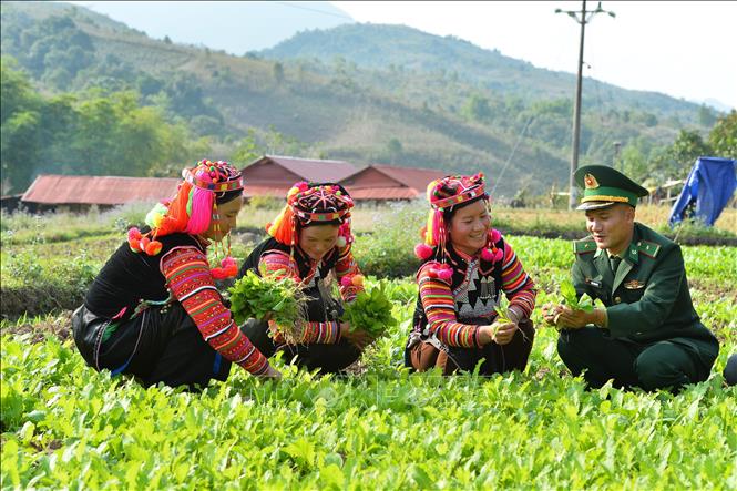 Ảnh tin