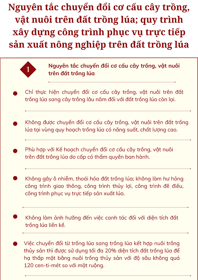 Ảnh tin