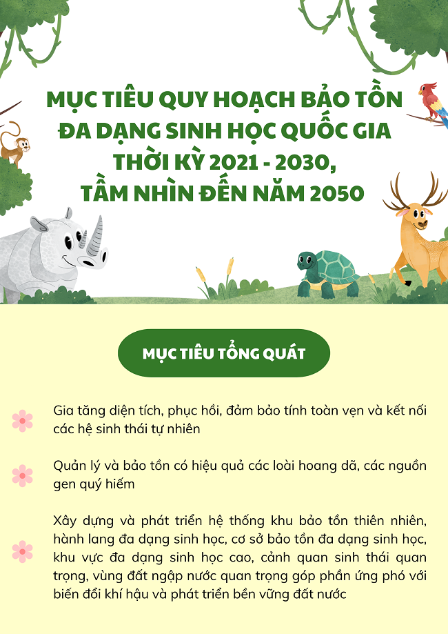 Ảnh tin