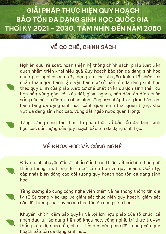 Ảnh tin