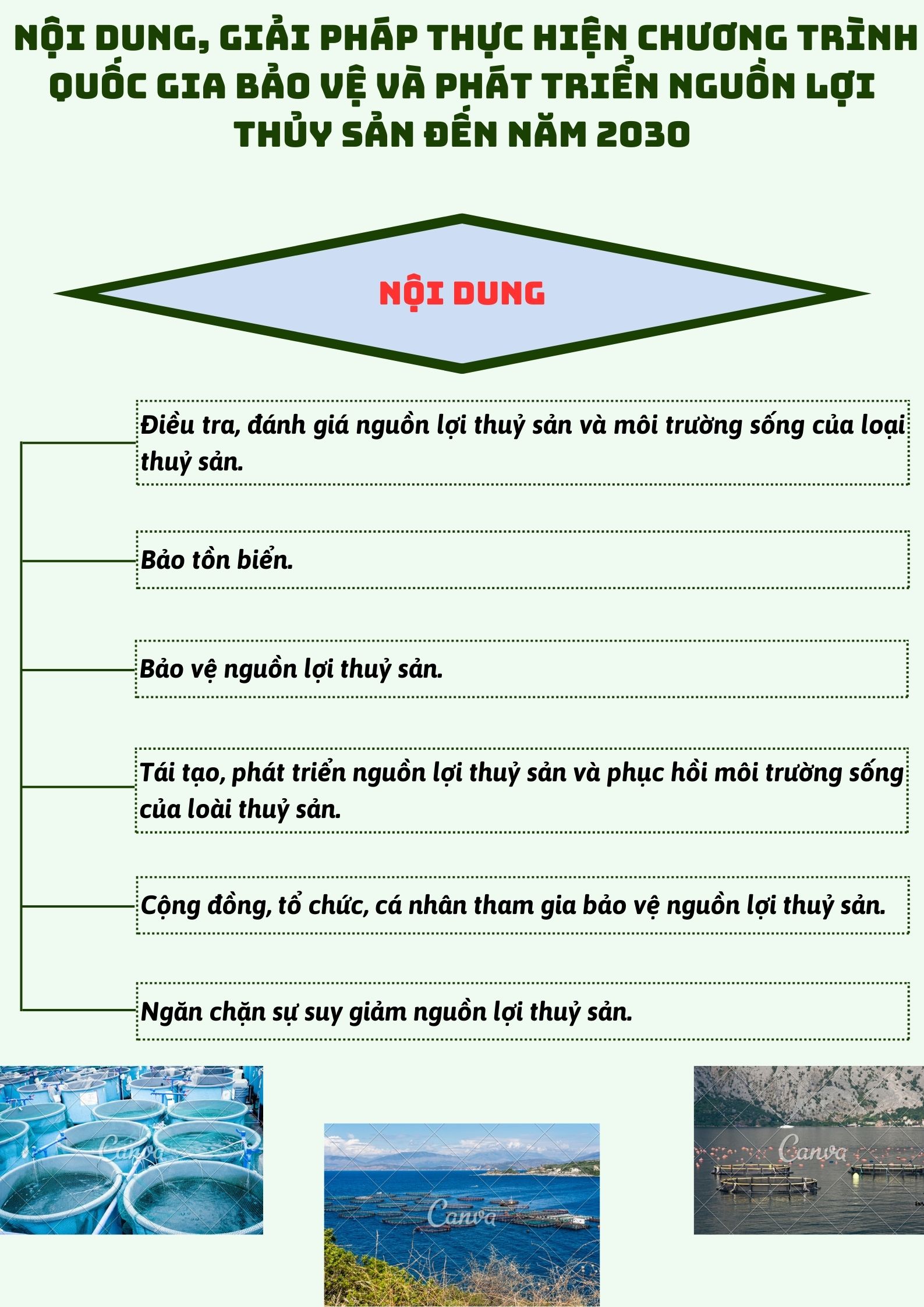 Ảnh tin