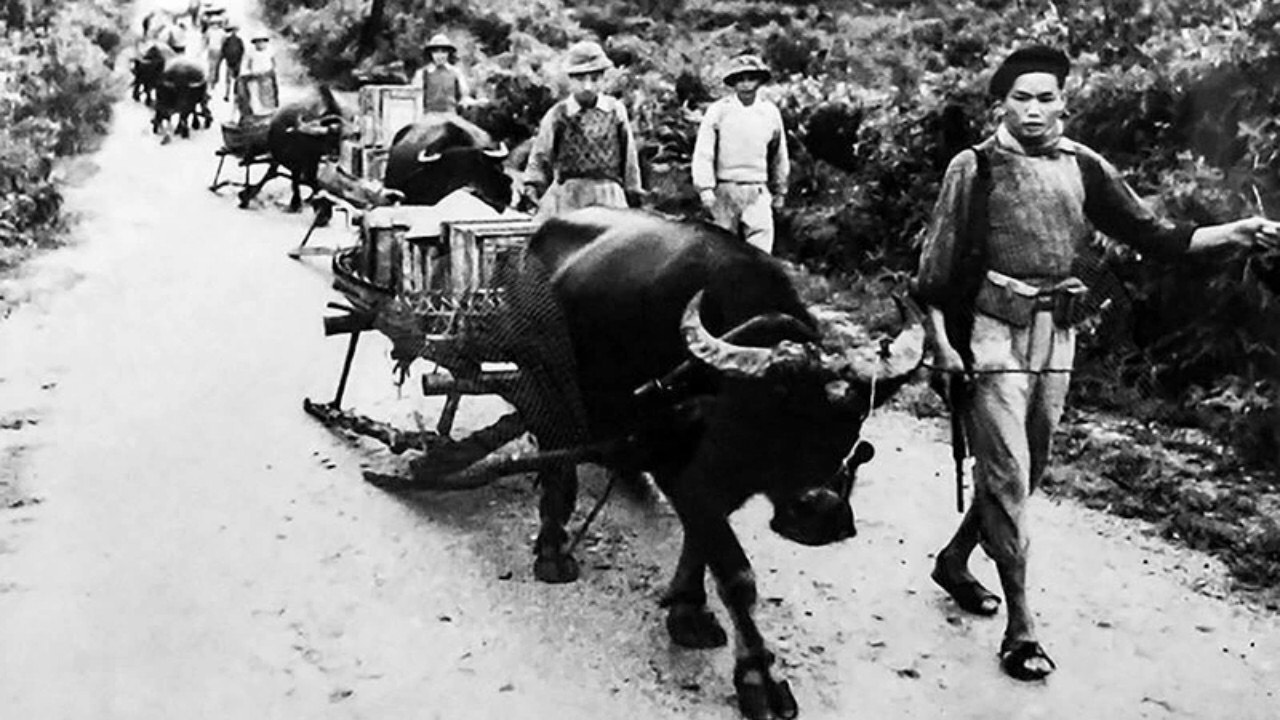 Lực lượng dân công Tuyên Quang trong chiến dịch Điện Biên Phủ