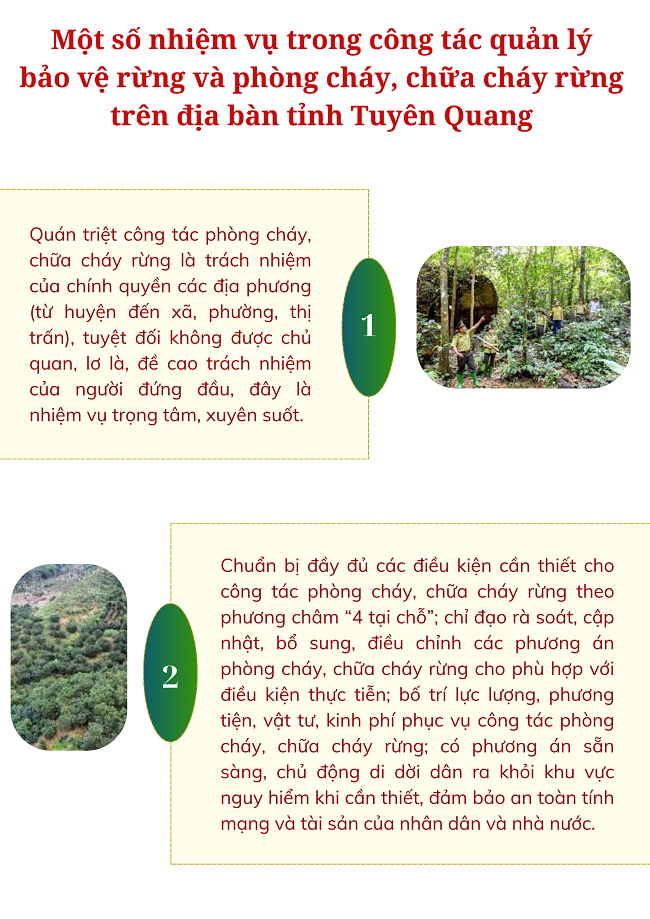 Ảnh tin
