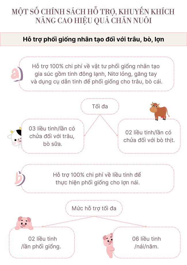 Ảnh tin