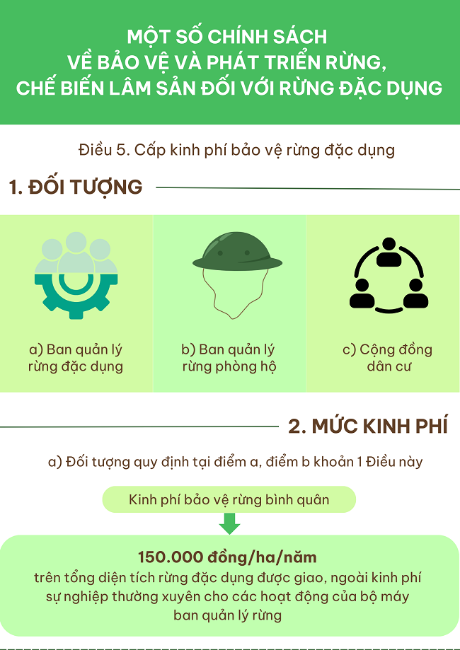 Ảnh tin