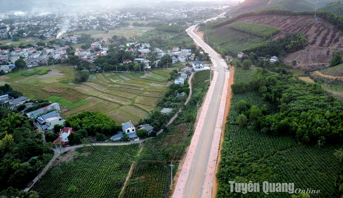 Ảnh tin