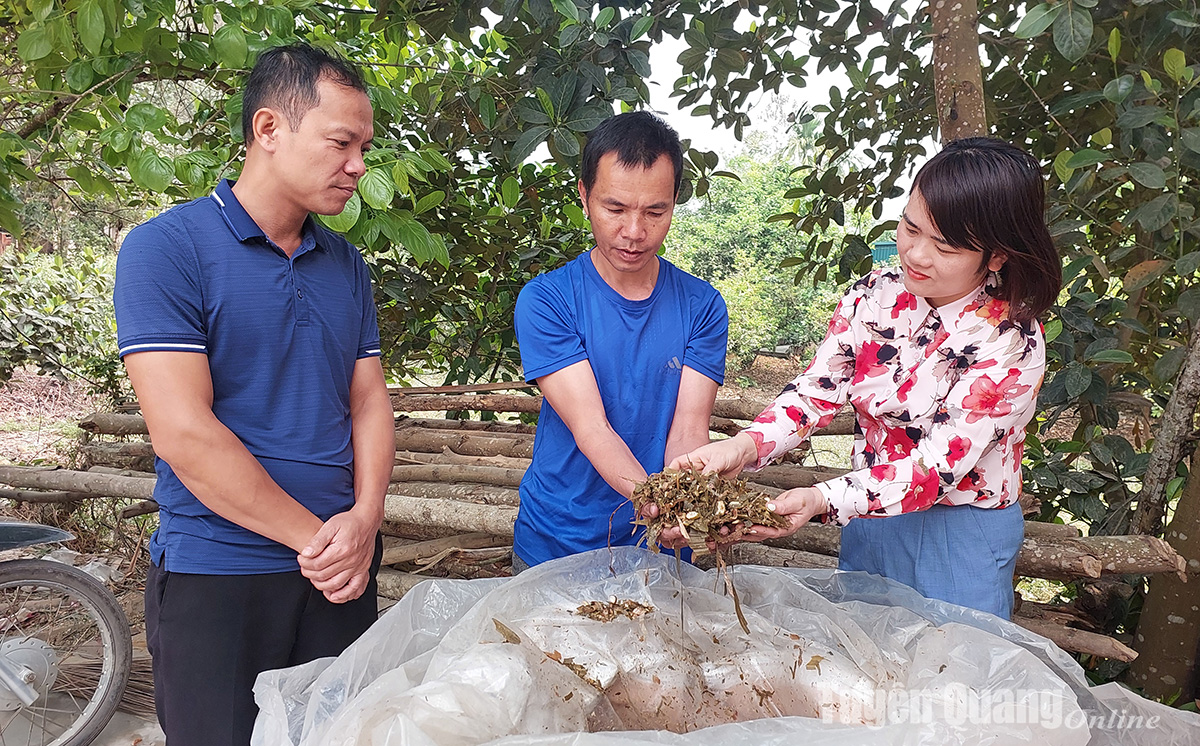Hướng tới nền nông nghiệp xanh