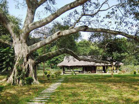 Tân Trào - thủ đô khu giải phóng với những năm tháng hoạt động cách mạng của Bác Hồ