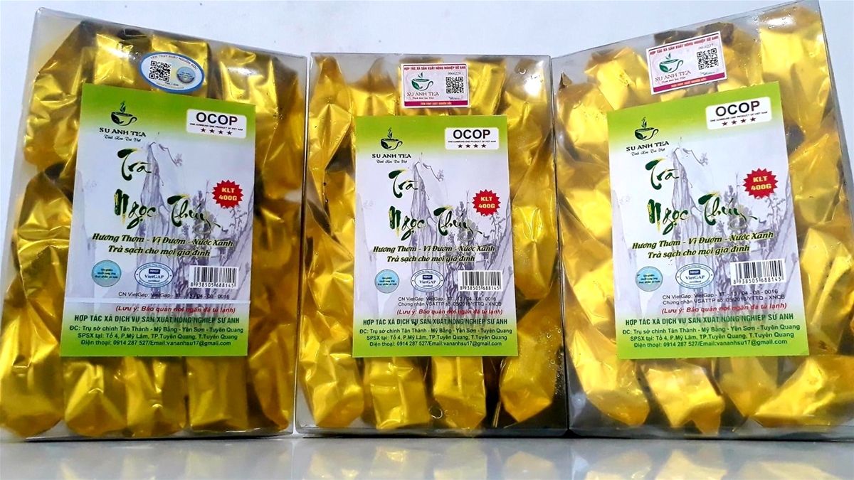 Người “đánh thức” tiềm năng từ cây chè quê hương