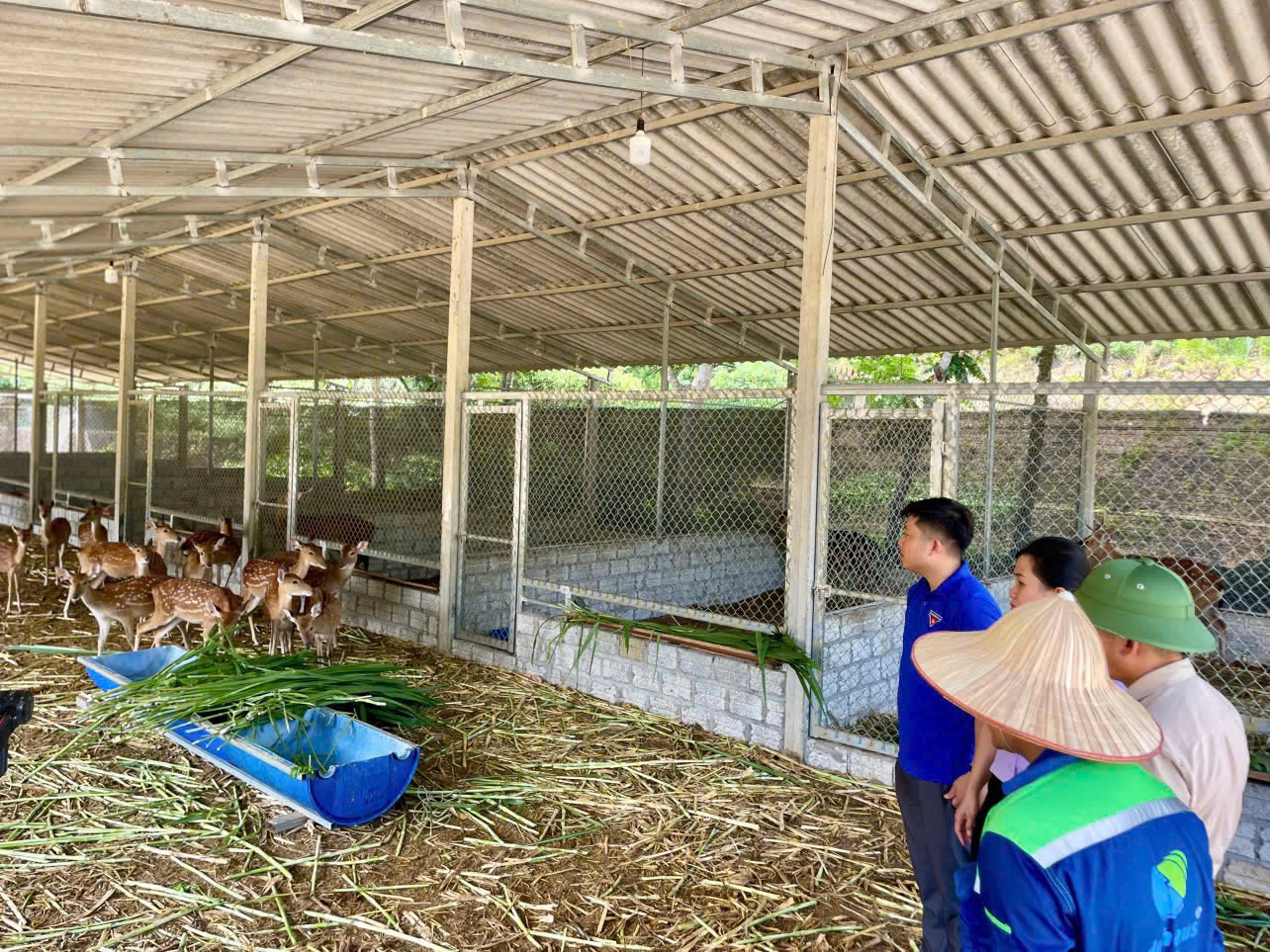 Vận động Nhân dân phát triển kinh tế tổng hợp: Điển hình "Dân vận khéo" làm giàu cho quê hương