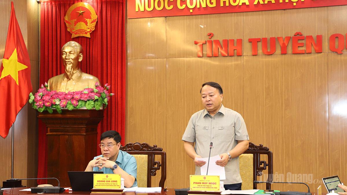 Phó Bí thư Tỉnh ủy, Chủ tịch UBND tỉnh Phan Huy Ngọc phát biểu kết luận buổi làm việc.