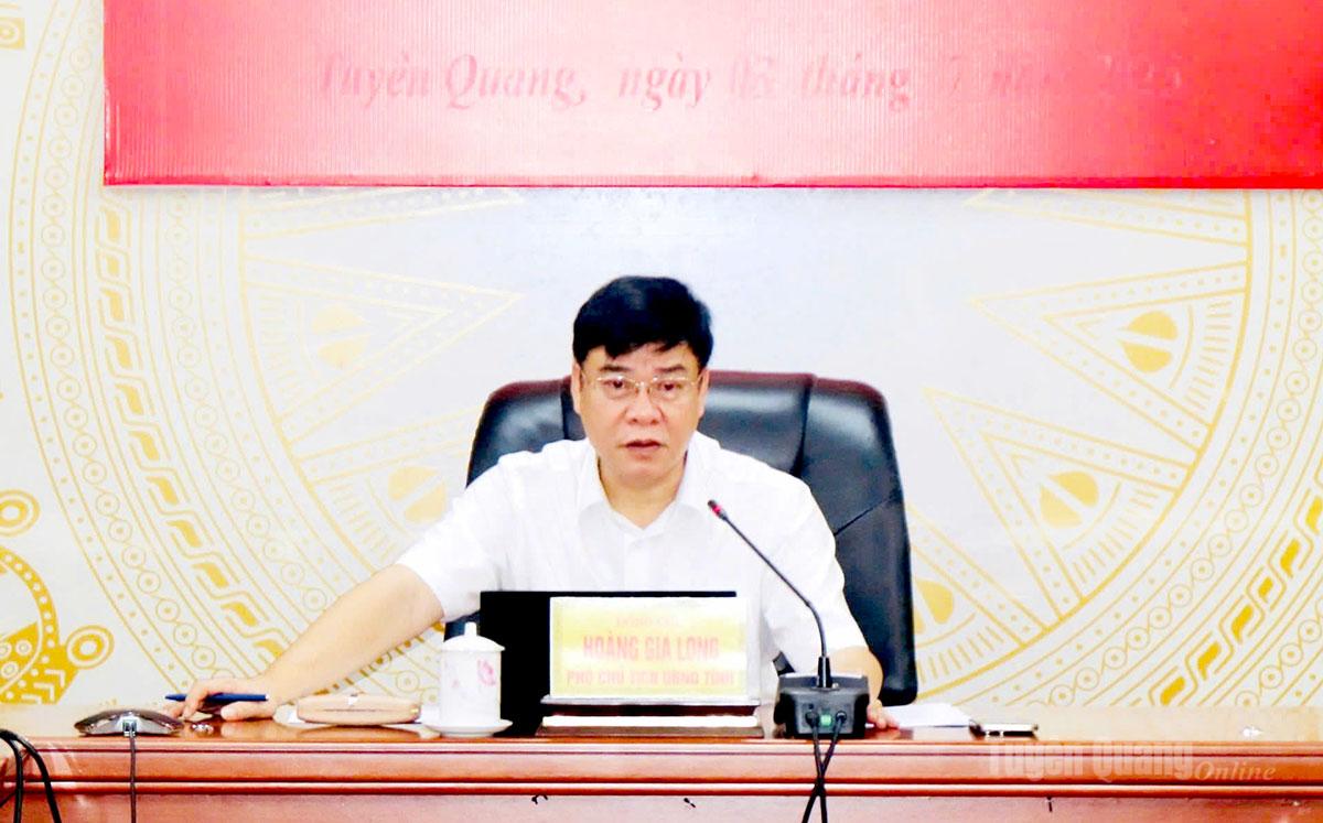 Phó Chủ tịch UBND tỉnh Hoàng Gia Long phát biểu kết luận hội nghị.