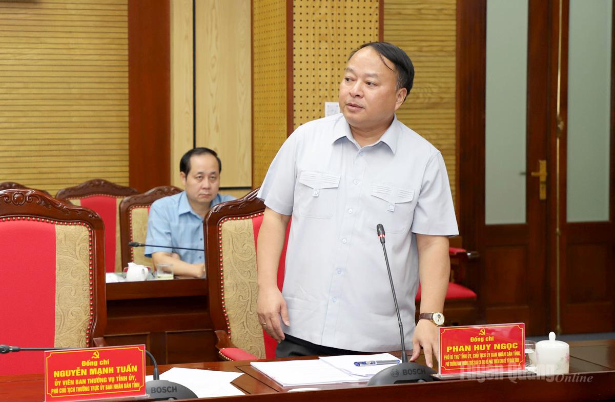 Phó Bí thư Tỉnh ủy, Chủ tịch UBND tỉnh Phan Huy Ngọc phát biểu tại hội nghị.