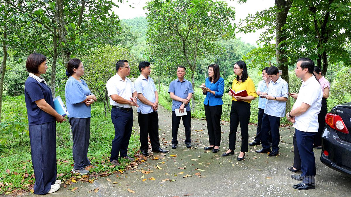 Đoàn giám sát của HĐND tỉnh khảo sát tại Dự án khai thác mỏ cao lanh, feslspat.