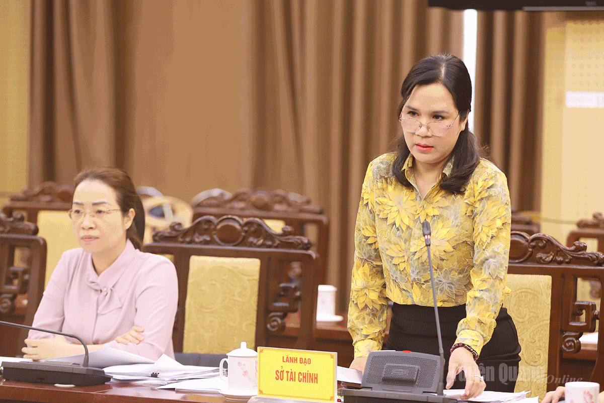 Giám đốc Sở Tài chính Phạm Kiều Vân làm rõ một số nội dung về các nguồn vốn.