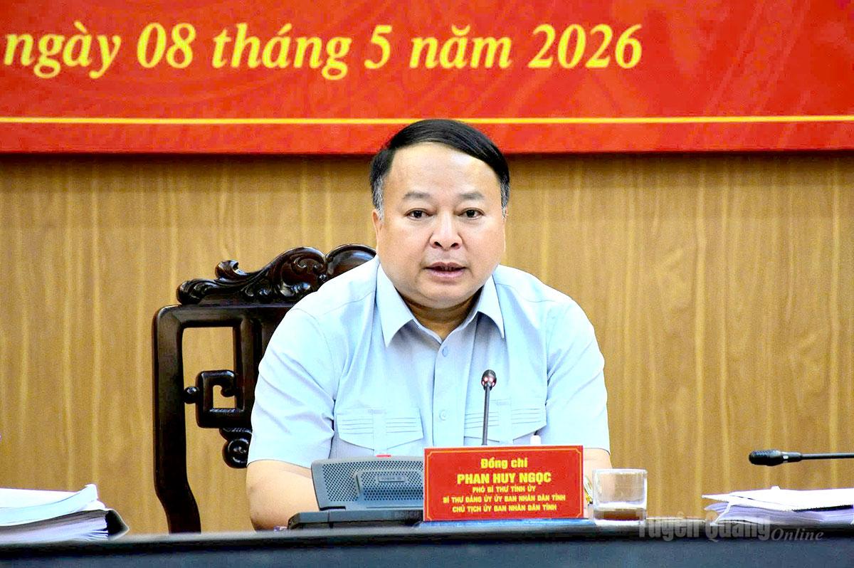 Đồng chí Phan Huy Ngọc, Phó Bí thư Tỉnh uỷ, Chủ tịch UBND tỉnh phát biểu tại buổi làm việc.