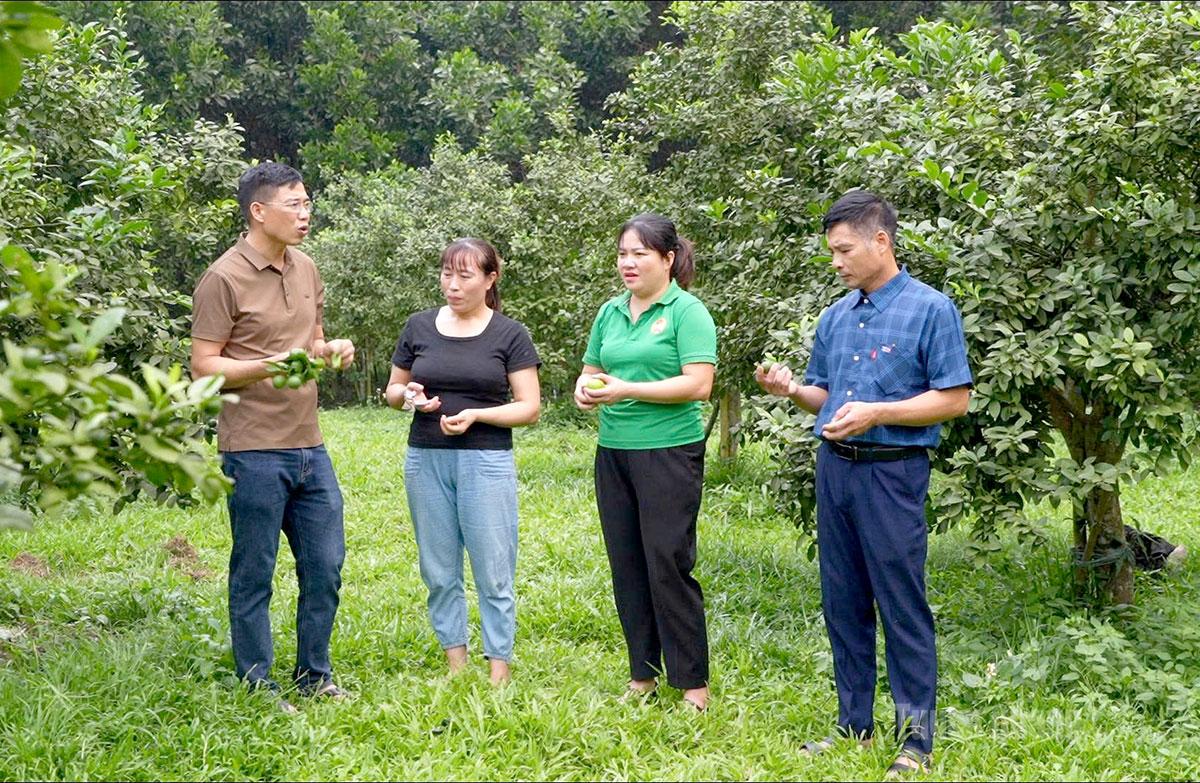 Chị Nguyễn Thị Hoài Trang (thứ 2 từ phải qua), Chủ tịch Hội Nông dân xã Hùng Đức
nắm bắt tình hình ở cơ sở.