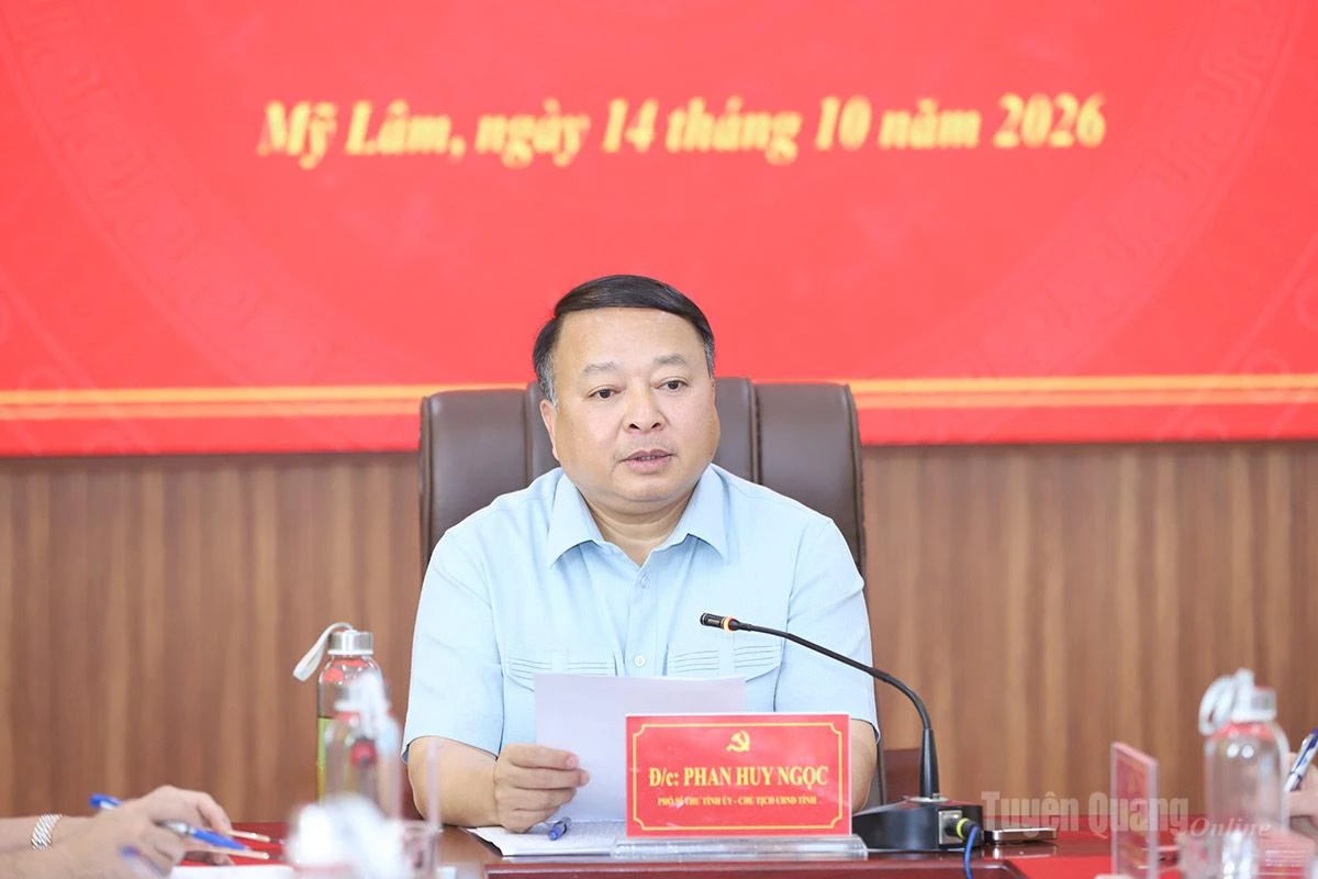 Chủ tịch UBND tỉnh Phan Huy Ngọc phát biểu kết luận buổi làm việc.