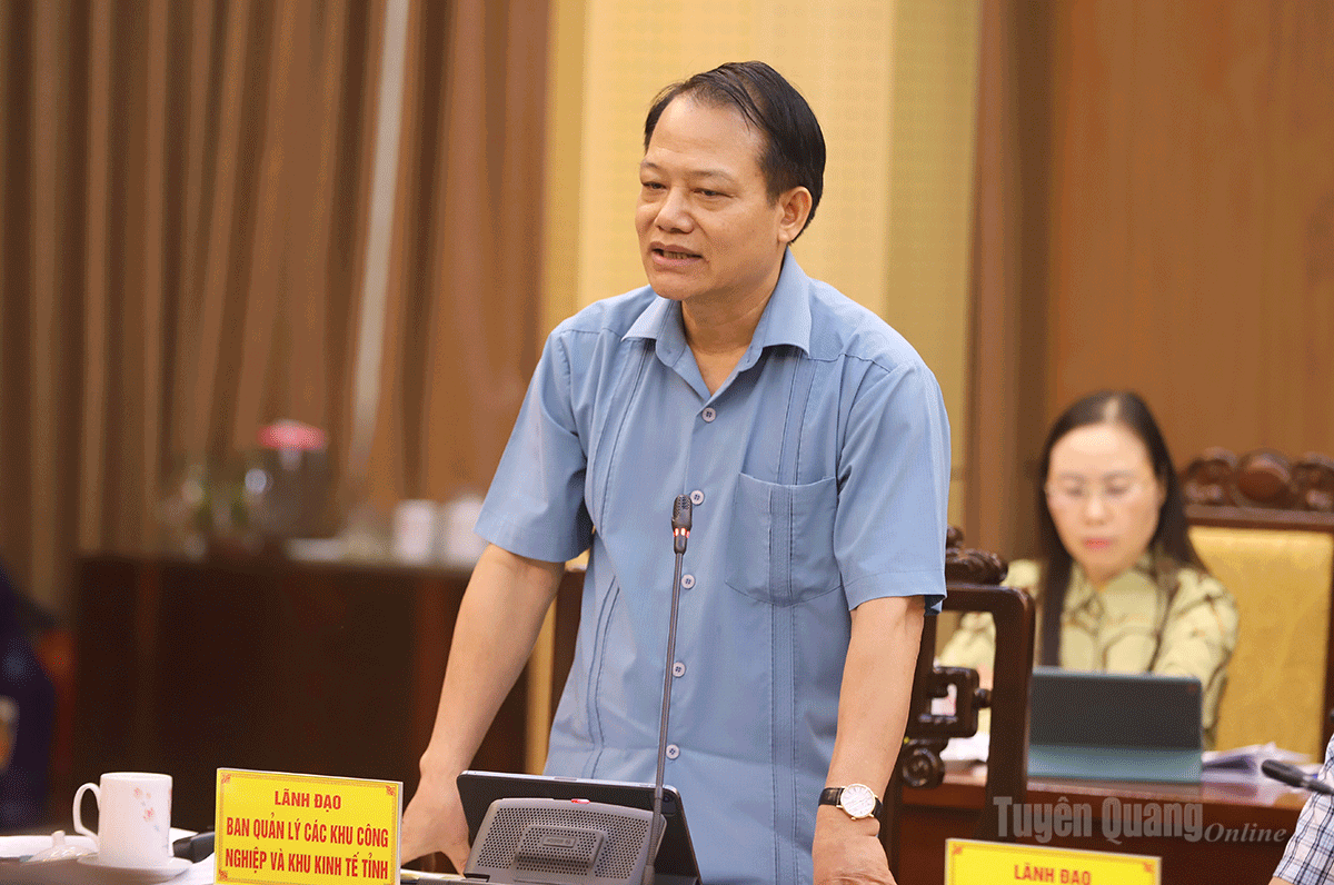 Trưởng Ban quản lý các khu công nghiệp và khu kinh tế tỉnh Vân Đình Thảo nêu ý kiến về thu hút doanh nghiệp đầu tư vào các khu, cụm công nghiệp.