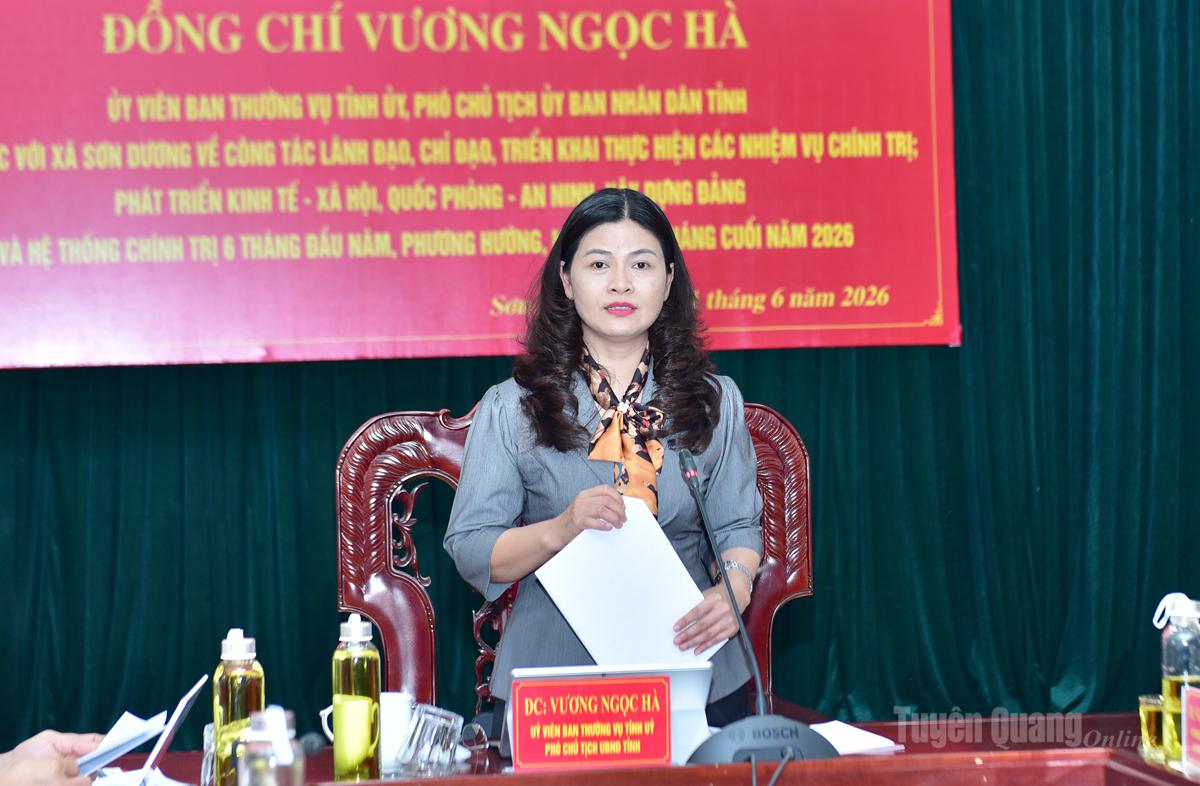 Phó Chủ tịch UBND tỉnh Vương Ngọc Hà phát biểu kết luận buổi làm việc với xã Sơn Dương.