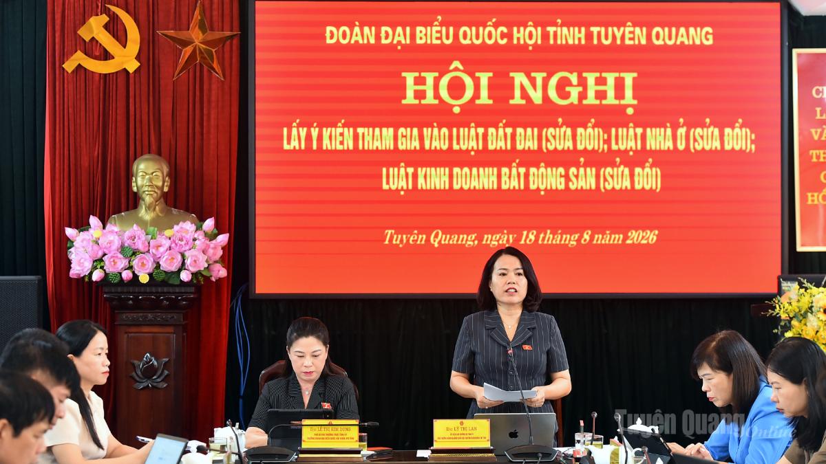 Đồng chí Lý Thị Lan, Phó Trưởng Đoàn ĐBQH chuyên trách tỉnh gợi ý thỏa luận tại hội nghị.