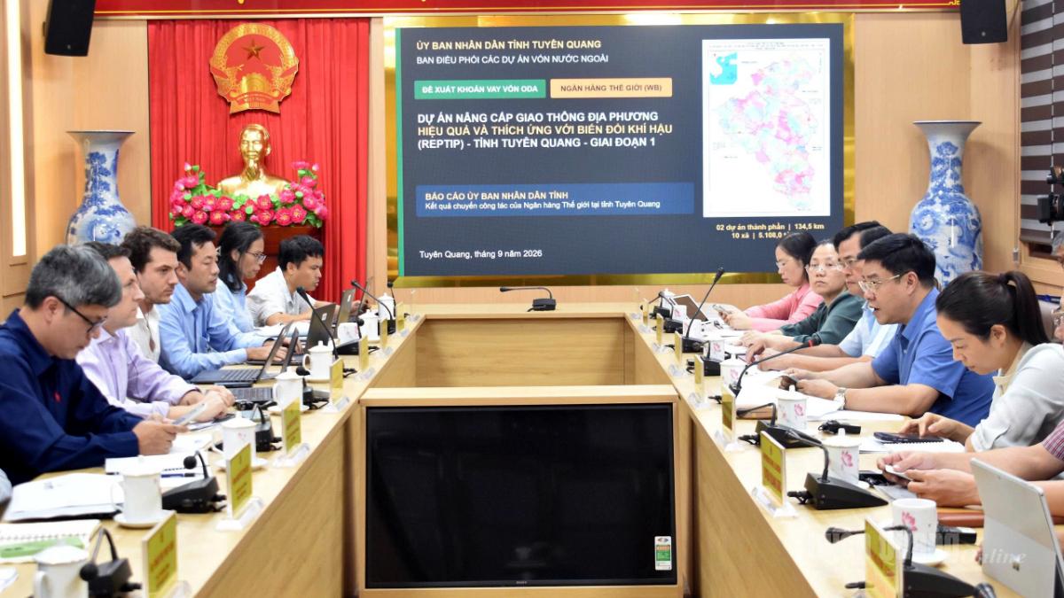 Quang cảnh buổi làm việc.