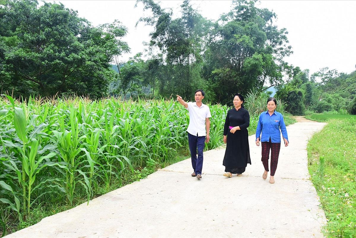 Tuyến đường giao thông ở thôn Pác Hóp được hoàn thiện với sự đồng thuận cao của nhân dân.