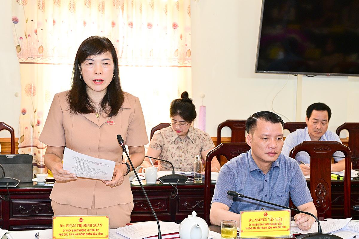 Đồng chí Phạm Thị Minh Xuân, Uỷ viên Ban Thường vụ Tỉnh uỷ, Phó Chủ tịch HĐND tỉnh phát biểu tại phiên họp thứ 5.