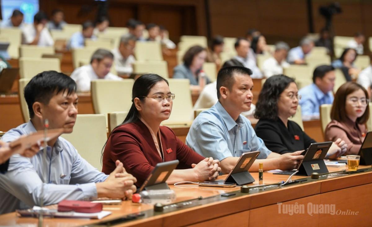 Đoàn ĐBQH tỉnh Tuyên Quang dự phiên họp ngày 30-10.