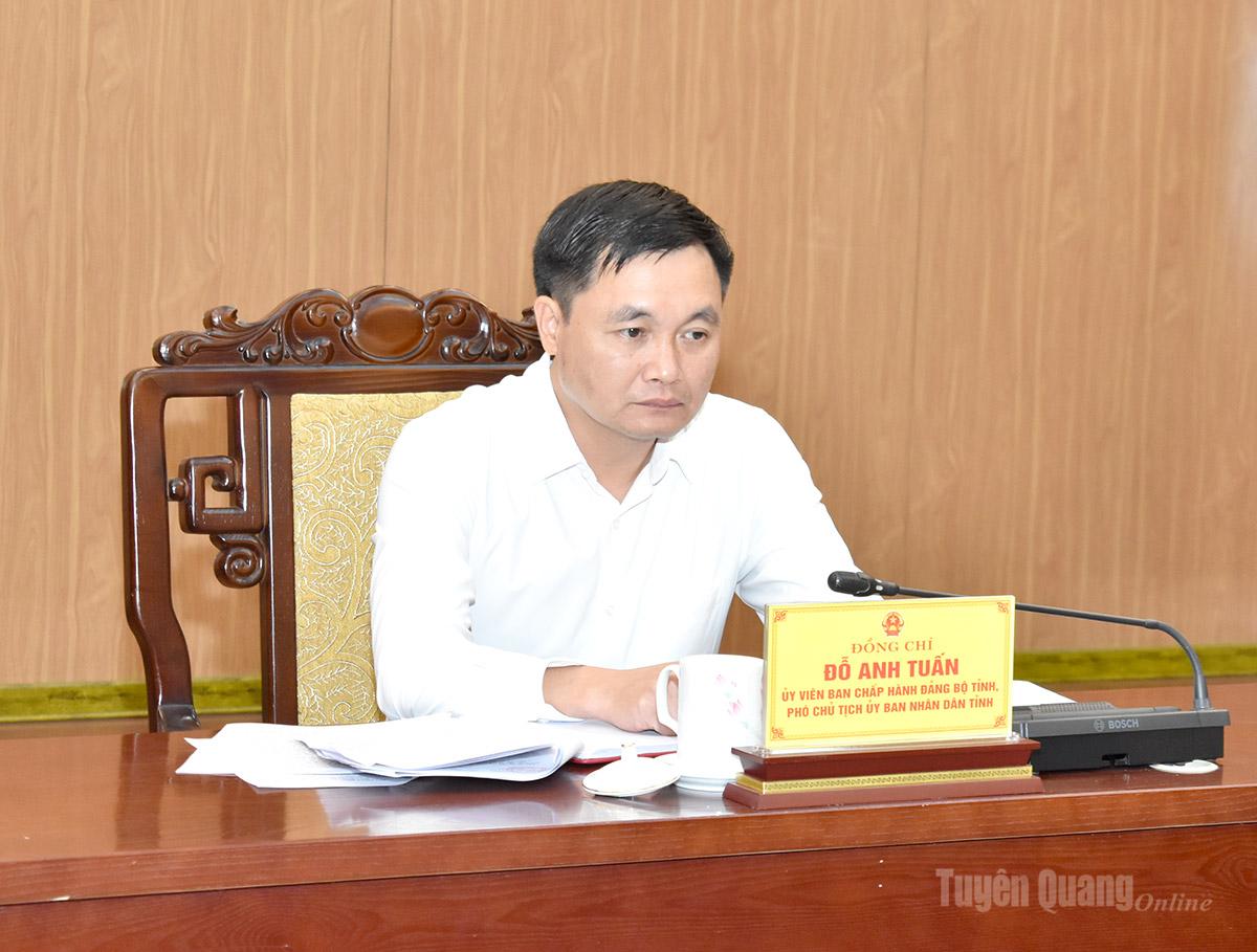 Đồng chí Phó Chủ tịch UBND tỉnh Đỗ Anh Tuấn chủ trì hội nghị tại điểm cầu tỉnh Tuyên Quang.