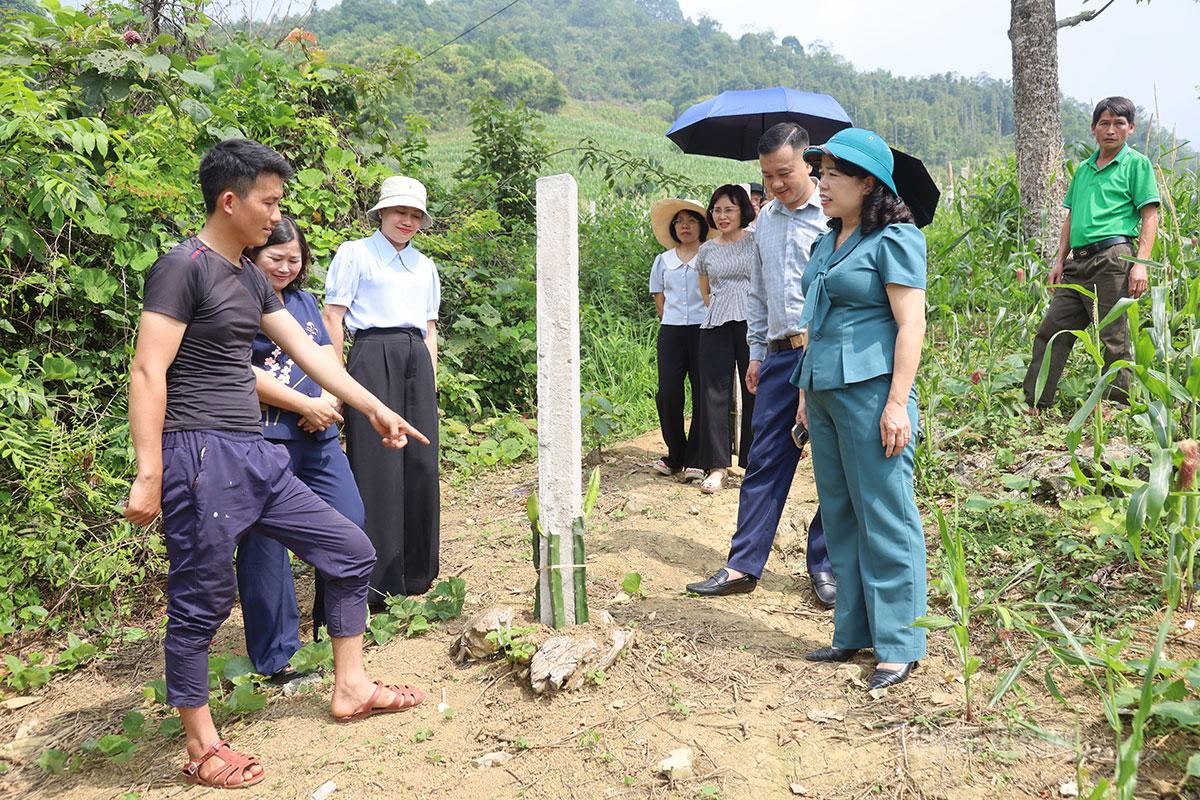 Đoàn công tác thăm mô hình chuyển đổi cơ cấu cây trồng, đưa cây Thanh Long vào trồng thay dần diện tích cây ngô ở thôn Pồng Trằm (xã Thuận Hòa).