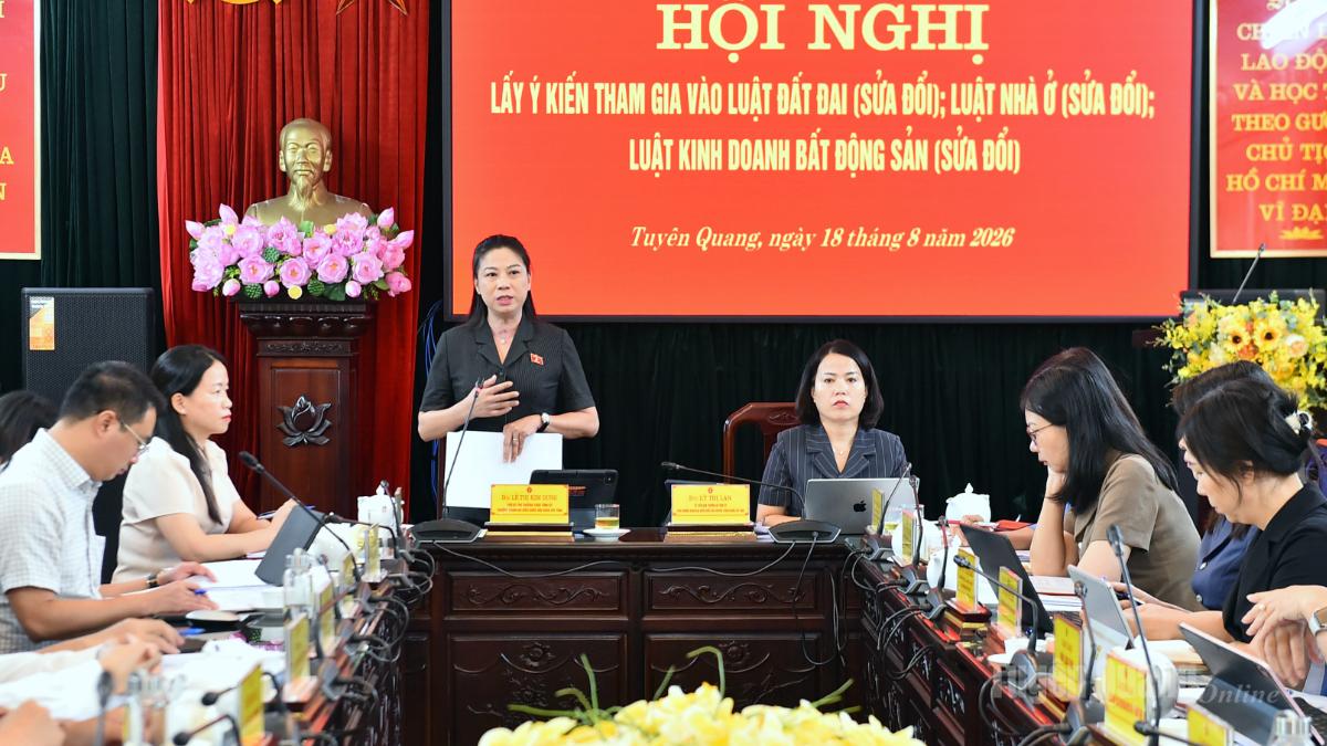 Đồng chí Phó Bí thư Thường trực Tỉnh ủy, Trưởng đoàn ĐBQH tỉnh Lê Thị Kim Dung chủ trì hội nghị.