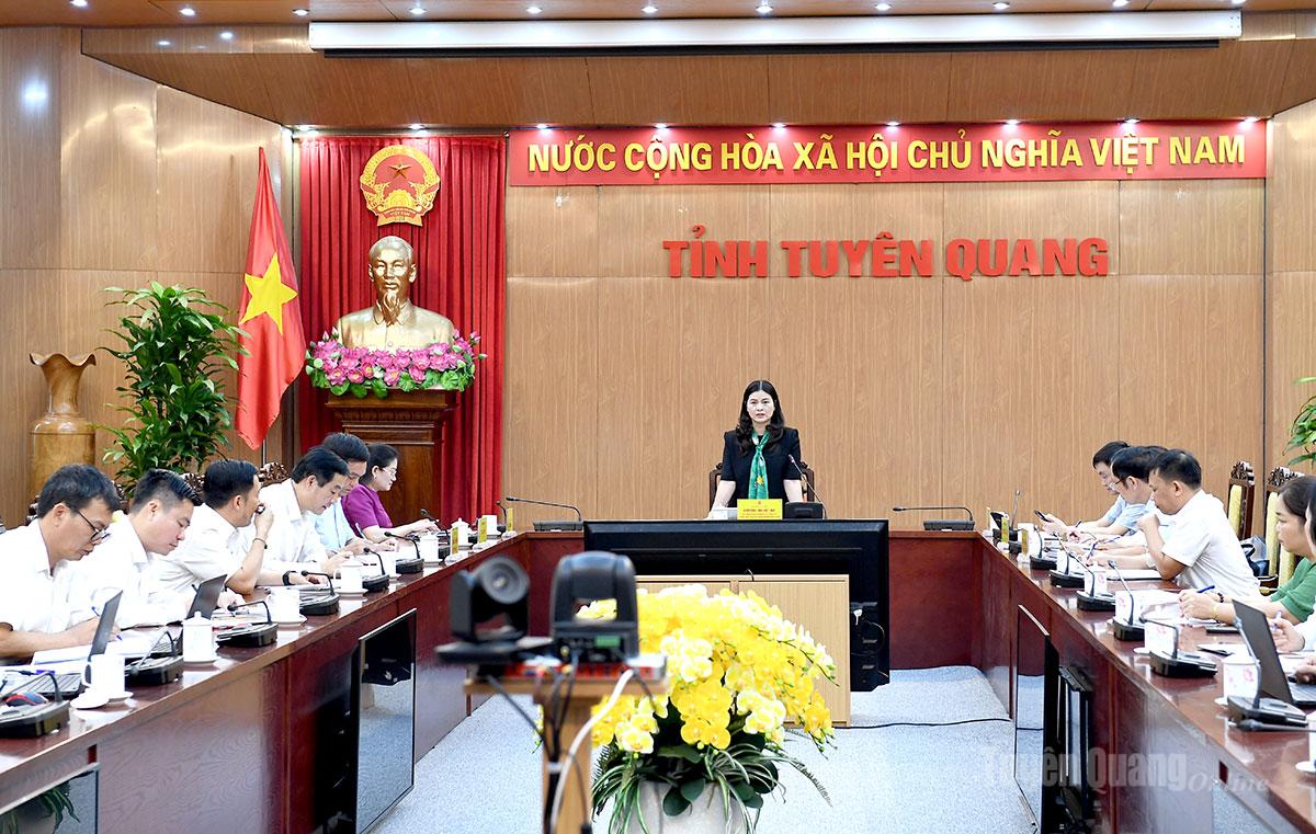 Đồng chí Phó Chủ tịch UBND tỉnh Vương Ngọc Hà chủ trì buổi làm việc.