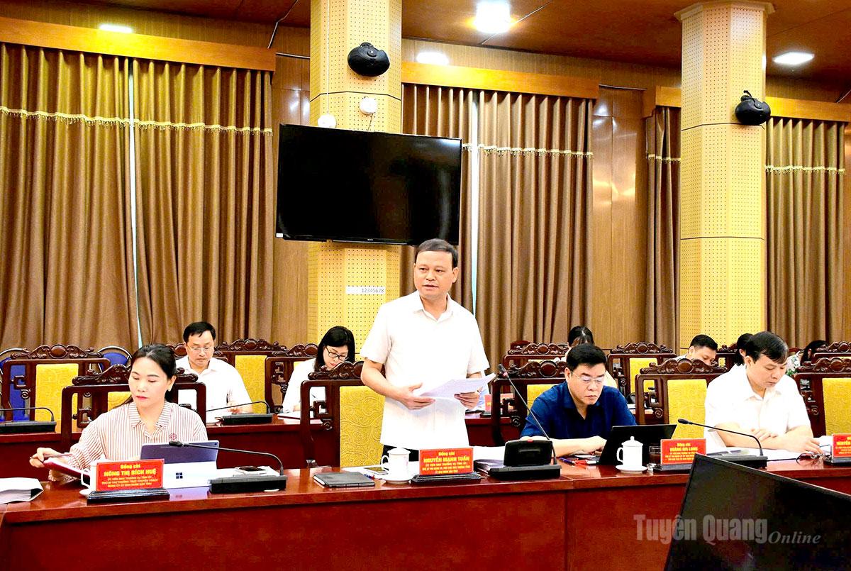 Đồng chí Nguyễn Mạnh Tuấn, Uỷ viên Ban Thường vụ Tỉnh uỷ, Phó Chủ tịch Thường trực UBND tỉnh phát biểu tại buổi làm việc.