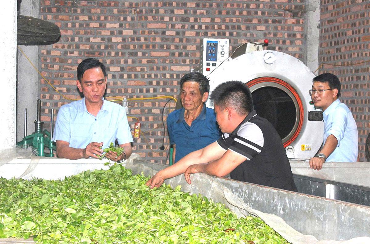 Đồng chí Đào Xuân Hòa, Phó Bí thư Đảng ủy, Chủ tịch UBND xã Trung Thịnh 
(đầu tiên từ trái sang) trao đổi, nắm bắt tình hình sản xuất chè tại cơ sở chế biến của 
người dân thôn Đông Thang.