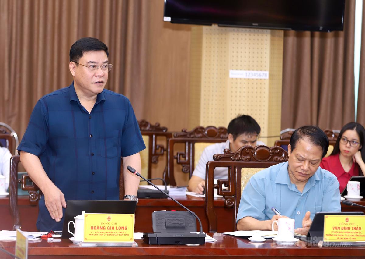 Phó Chủ tịch UBND tỉnh Hoàng Gia Long phá biểu thảo luận, làm rõ những căn cứ để có thể chấp thuận chủ trương đầu tư cho dự án.