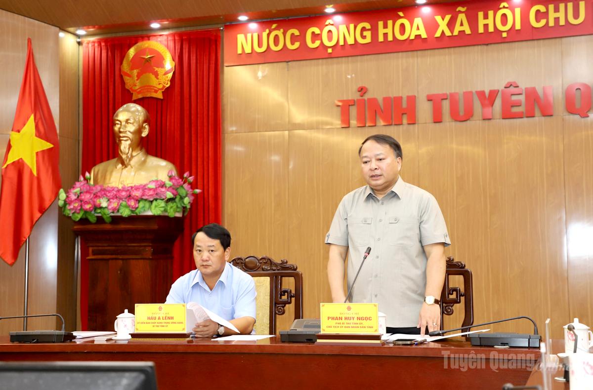 Phó Bí thư Tỉnh ủy, Chủ tịch UBND tỉnh Phan Huy Ngọc phát biểu kết luận buổi làm việc.