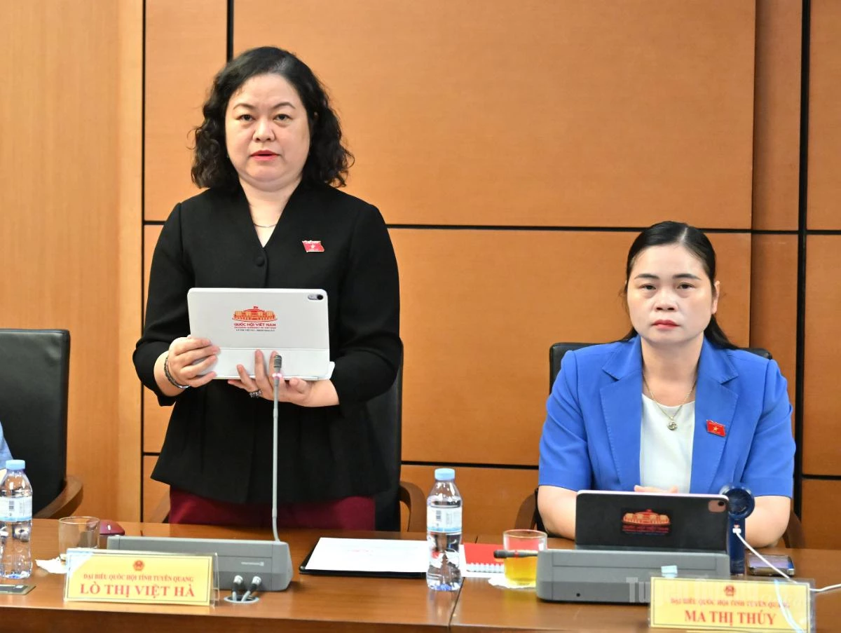 ĐBQH Lò Thị Việt Hà phát biểu.