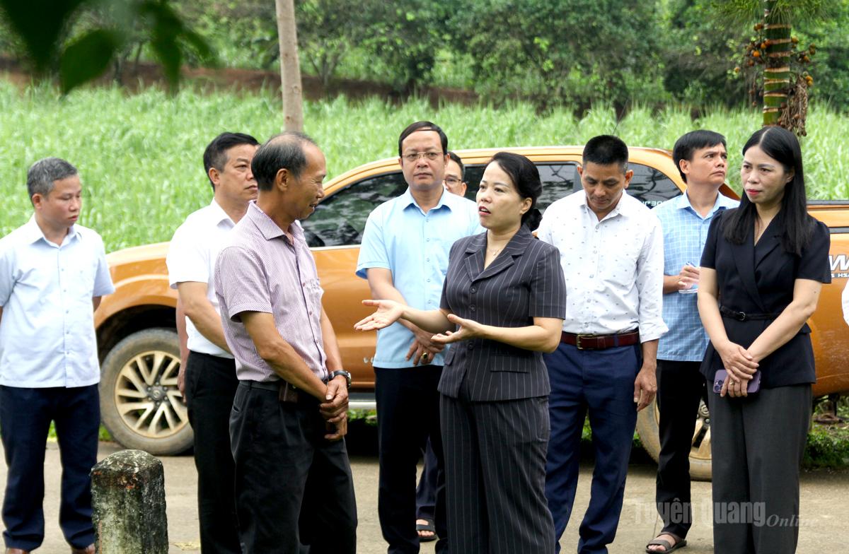 Đoàn công tác trao đổi với các hộ nông dân trên địa bàn thôn Quang Sơn.