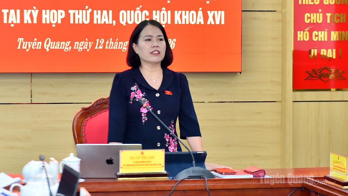 Đồng chí Lý Thị Lan, Phó Trưởng đoàn chuyên trách Đoàn ĐBQH tỉnh phát biểu kết luận hội nghị.