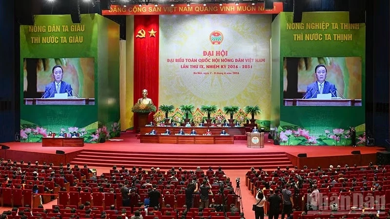 Ảnh tin