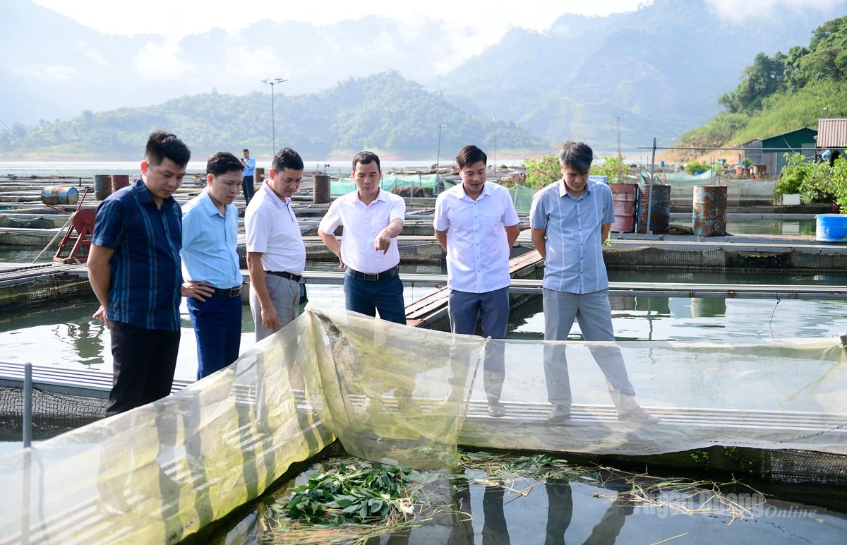 Trao đổi kinh nghiệm vận hành chính quyền địa phương 2 cấp